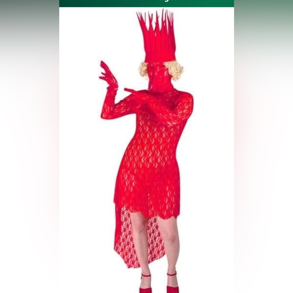 Lady Gaga 2009 VMAs Red Lace Dress Costume